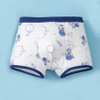 Boxer Brief For Tweens