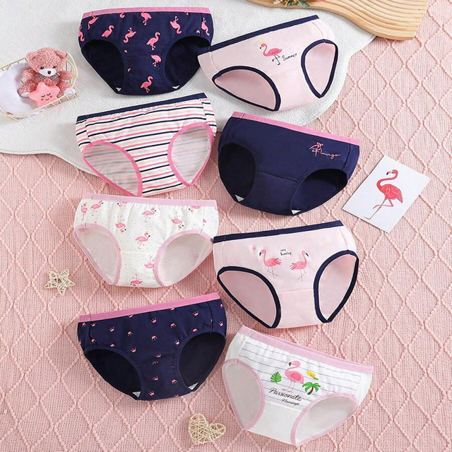 Color Block Underwear For Girls