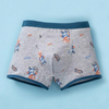 Boxer Brief For Tweens