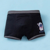 Boxer Brief For Tweens